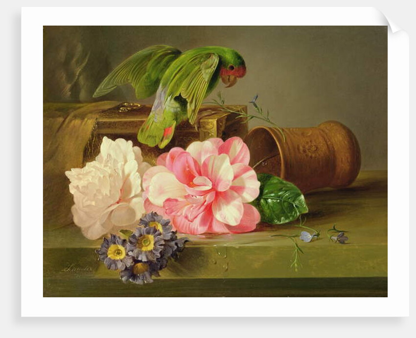 Still Life with Parrot, 1879 by Josef Schuster