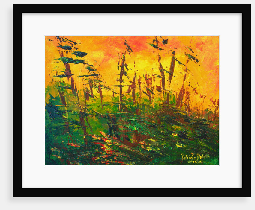 Bayou, 2011 by Patricia Brintle