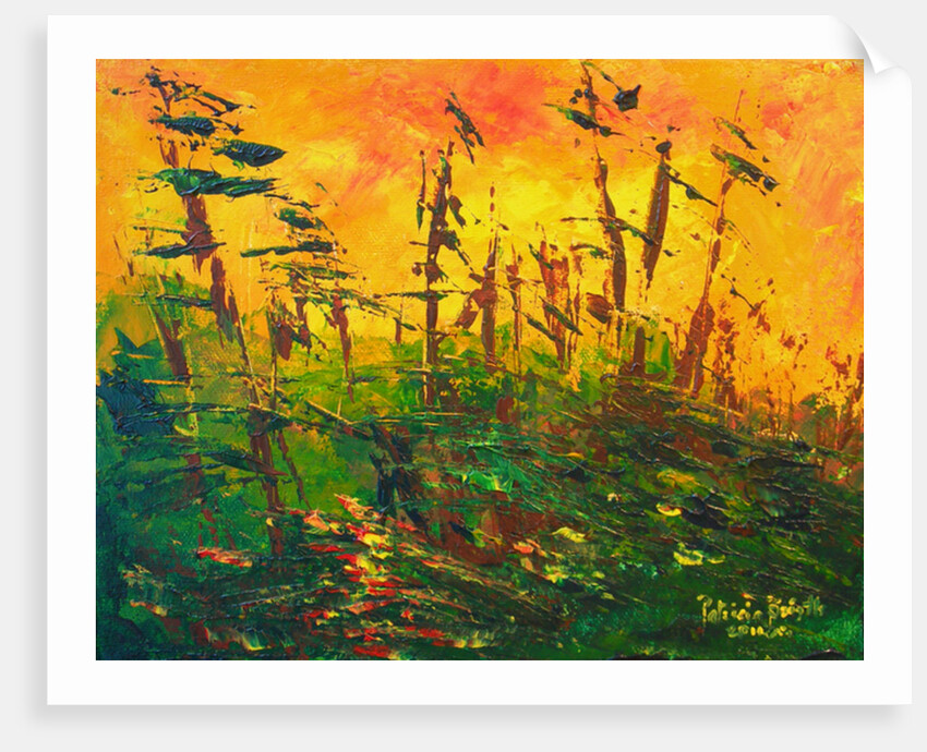 Bayou, 2011 by Patricia Brintle