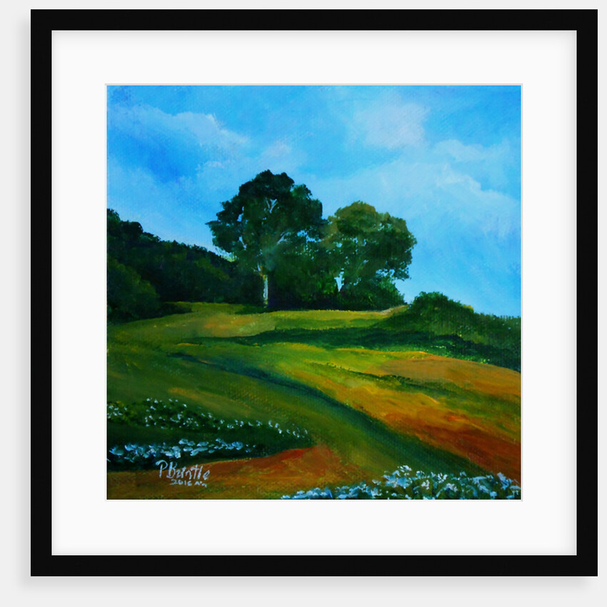 Bleuets vers Thiotte, 2016 by Patricia Brintle