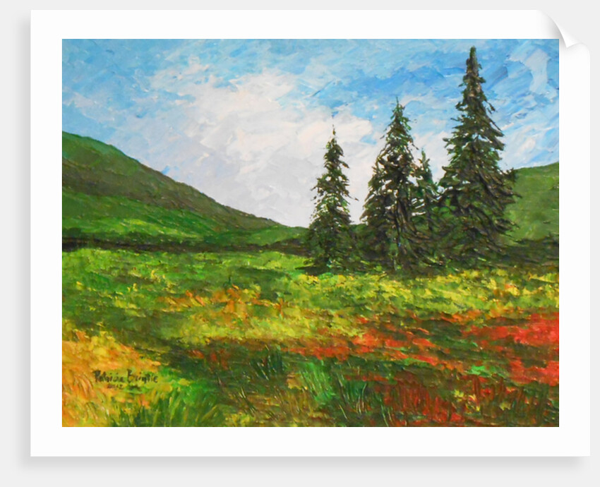 Down the valley, 2012 by Patricia Brintle