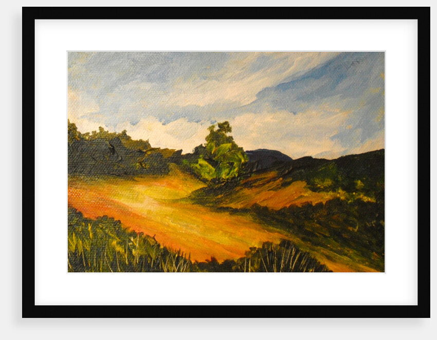 La route de Thiote, 2014 by Patricia Brintle