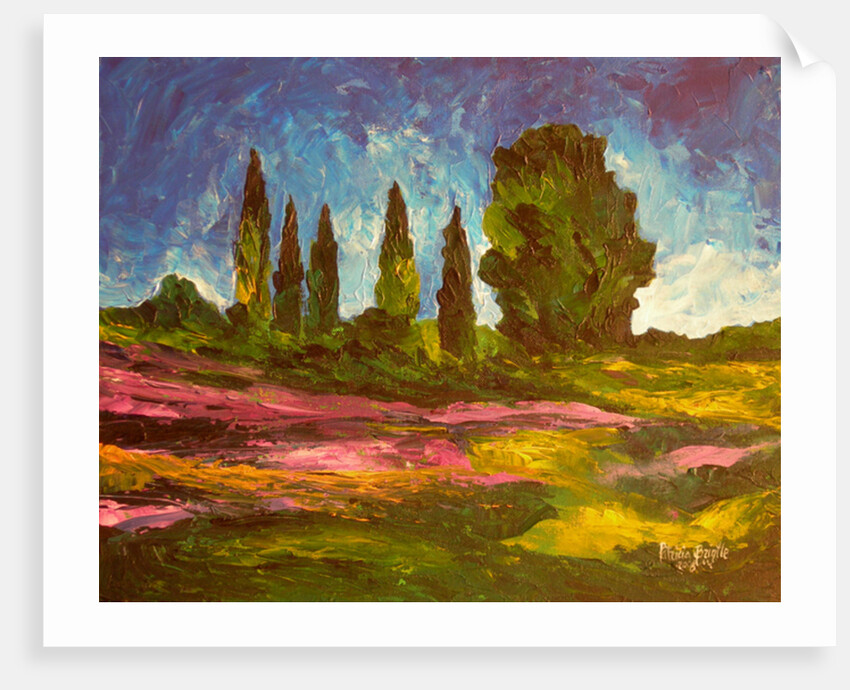 Lavenders are blooming, 2009 by Patricia Brintle