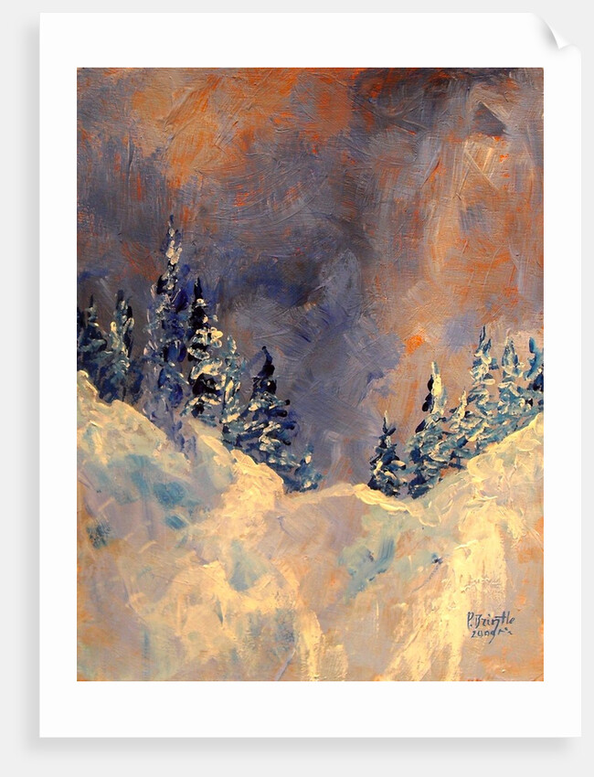 Mist on the Snow Peak, 2009 by Patricia Brintle