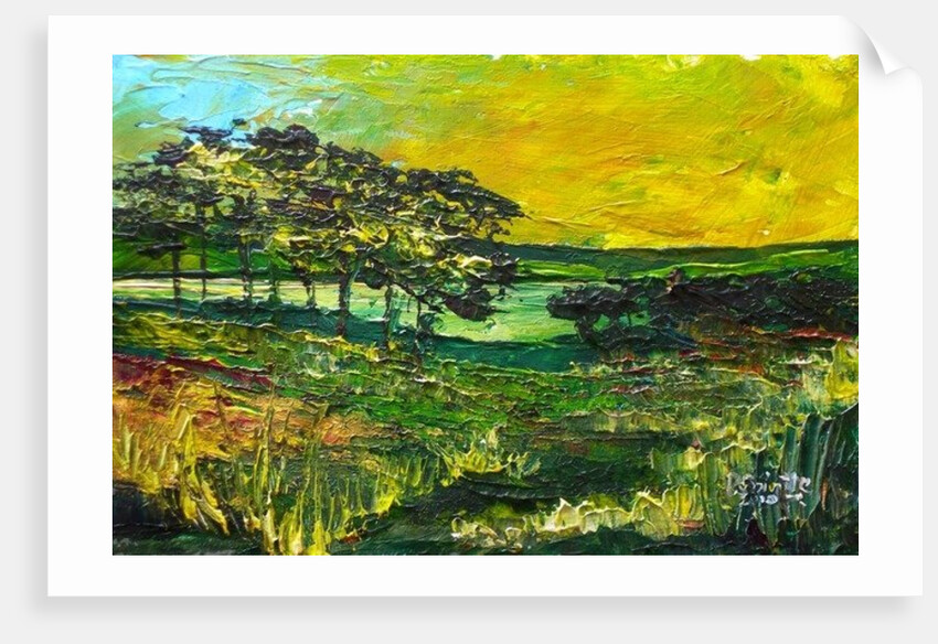 Vers L'Etang de Miragoane, 2010 by Patricia Brintle