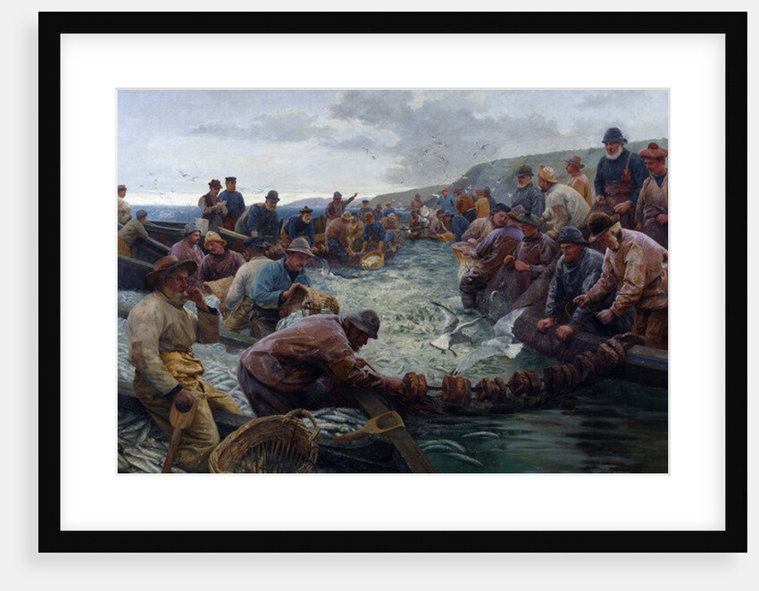 Tucking a School of Pilchards, 1897 by Percy Robert Craft