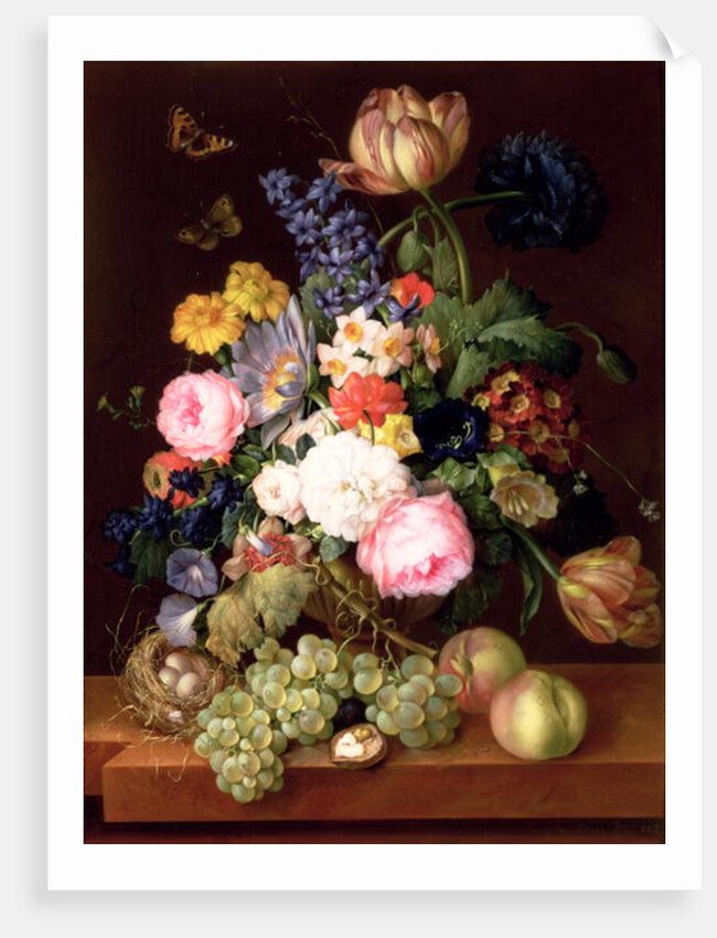 Flowers and fruit with a bird's nest on a Ledge, 1821 by Franz Xavier Petter