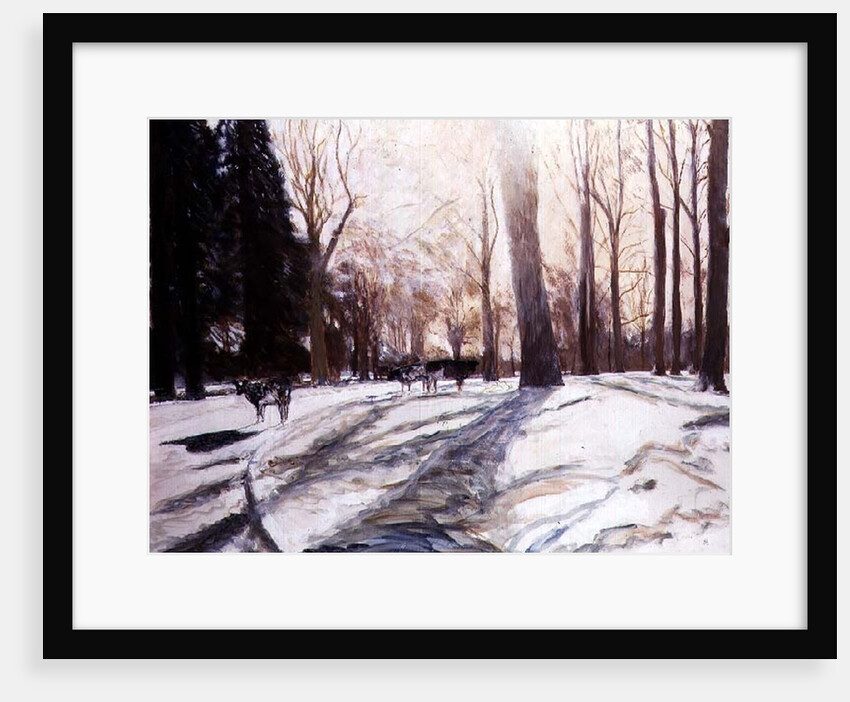 Snow at Broadlands by Paul Stewart
