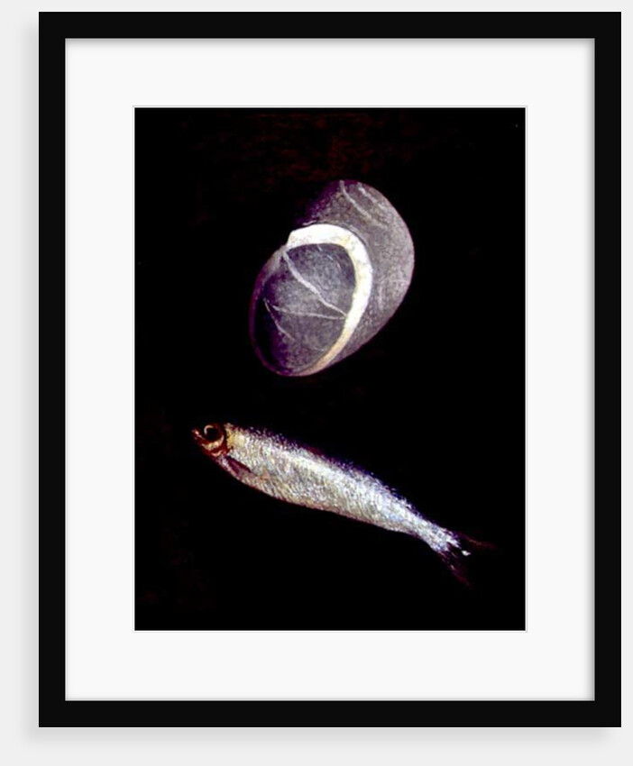 Fish and Rock Form, 1997 by Peter Davidson