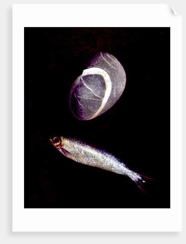 Fish and Rock Form, 1997 by Peter Davidson