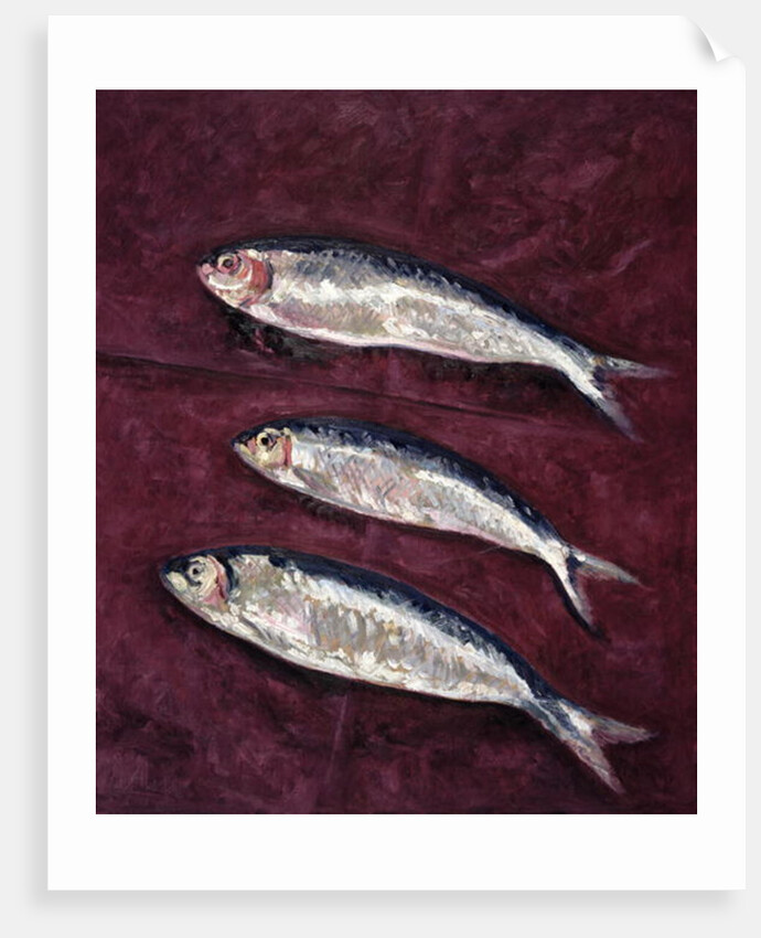 Three Fish, 1997 by Peter Davidson