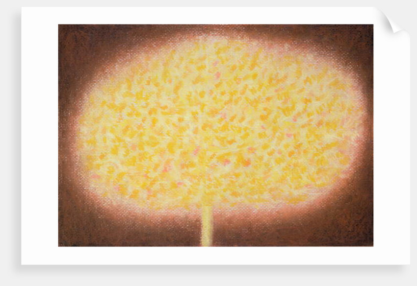 Untitled by Peter Davidson