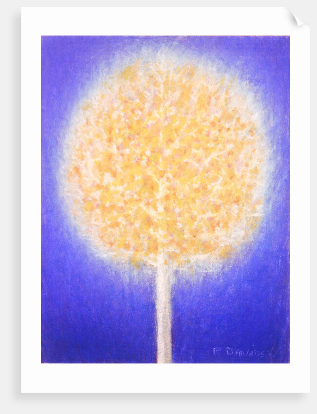 Untitled by Peter Davidson