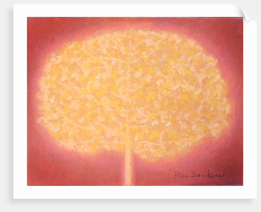 Untitled by Peter Davidson