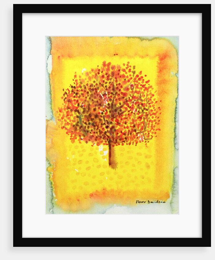 Fruit-bearing Tree, 1996 by Peter Davidson