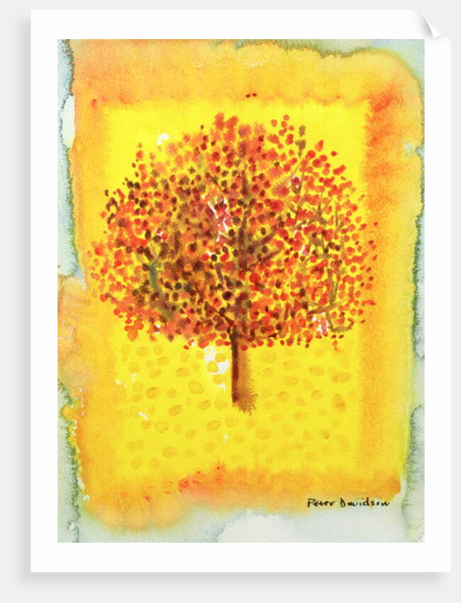 Fruit-bearing Tree, 1996 by Peter Davidson