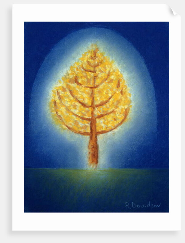 Glowing Tree, 1996 by Peter Davidson