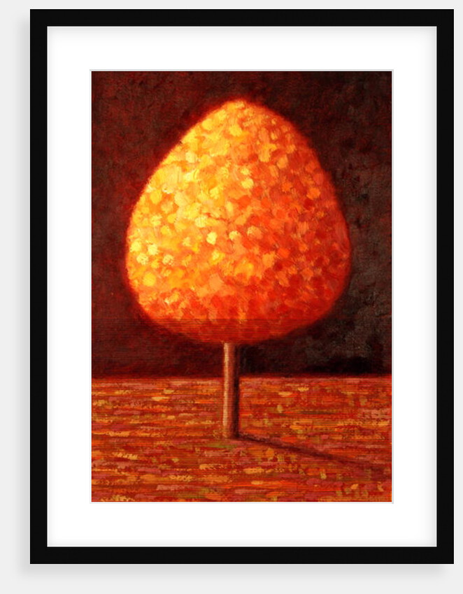 Sun Drenched Tree, 1996 by Peter Davidson