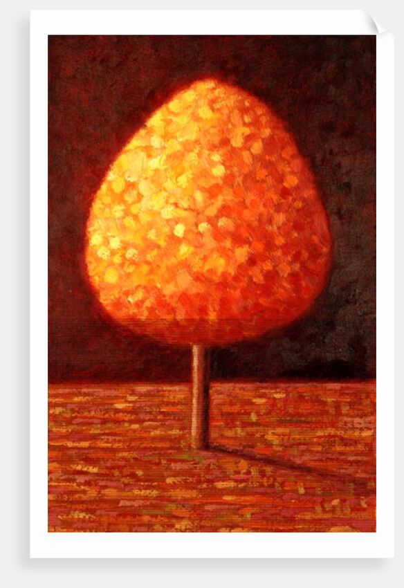 Sun Drenched Tree, 1996 by Peter Davidson