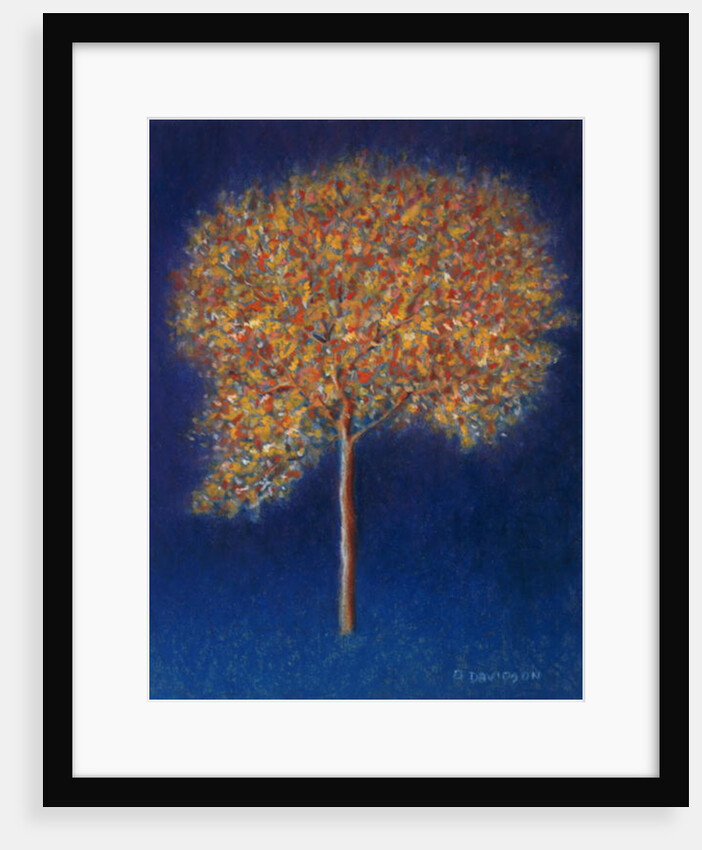 Tree in Blossom, 1997 by Peter Davidson