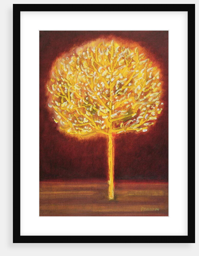 Blossoming Tree, 1997 by Peter Davidson