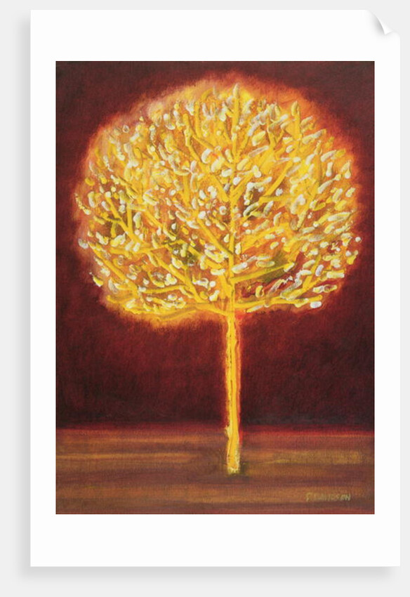 Blossoming Tree, 1997 by Peter Davidson