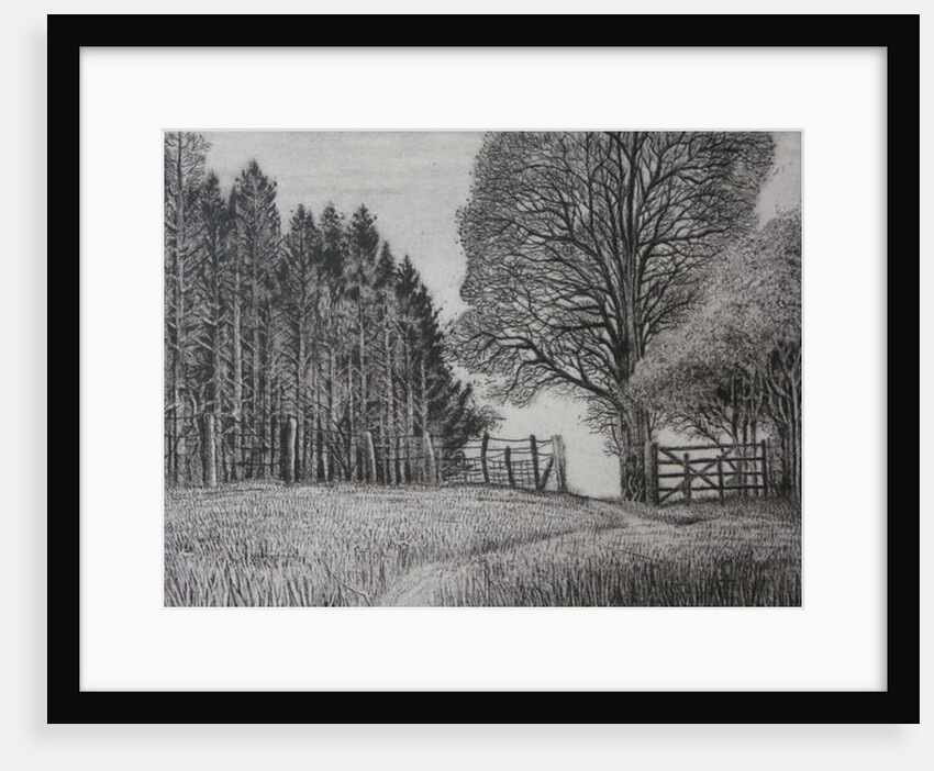 The Forest Path - Spring by Peter A Ford
