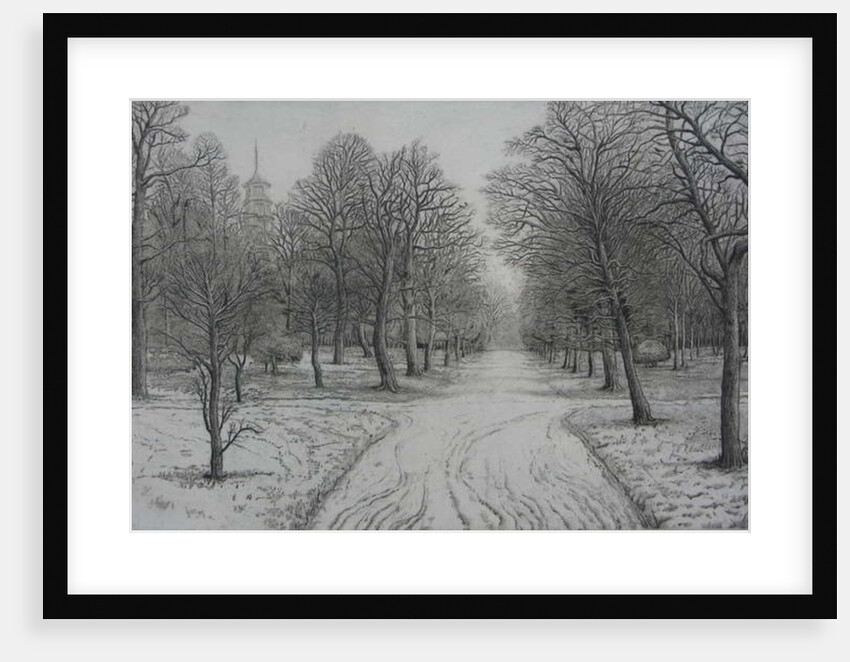 Kew Gardens in Winter by Peter A Ford