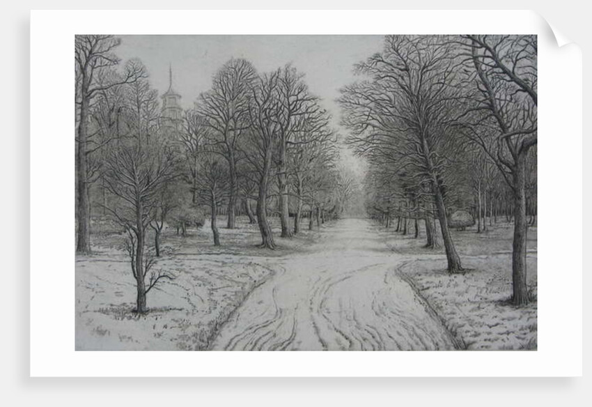 Kew Gardens in Winter by Peter A Ford