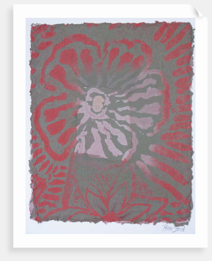 Wildflowers - V by Peter A Ford