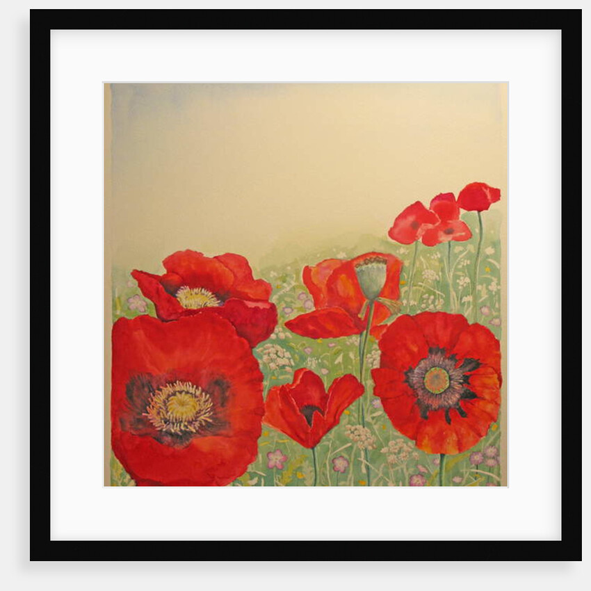 Poppy Field by Peter A Ford