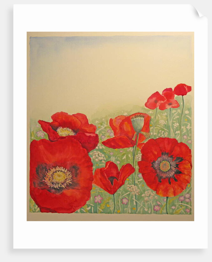 Poppy Field by Peter A Ford