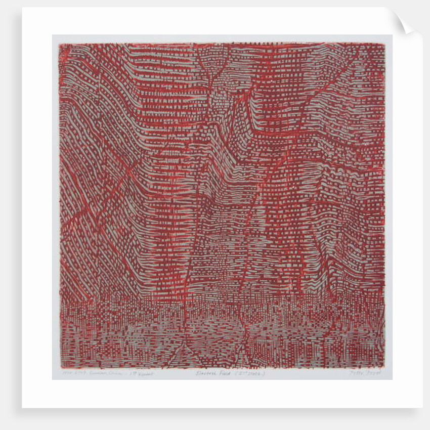 Electric Field 1 by Peter A Ford