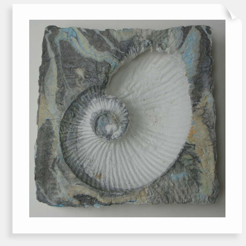 Helix 1 by Peter A Ford