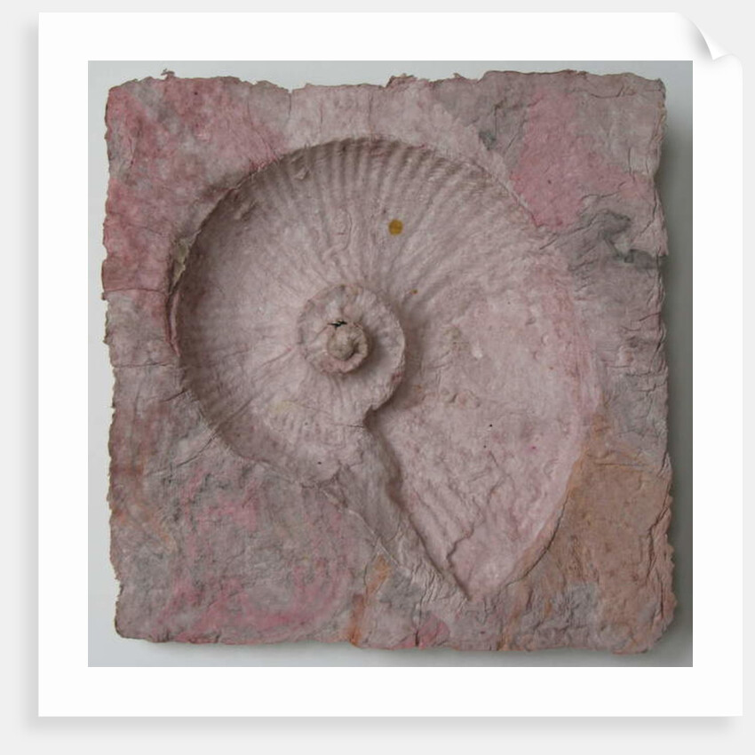 Helix 3 by Peter A Ford