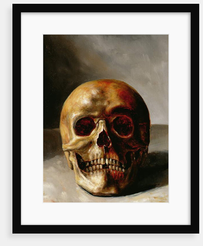 Skull by European School