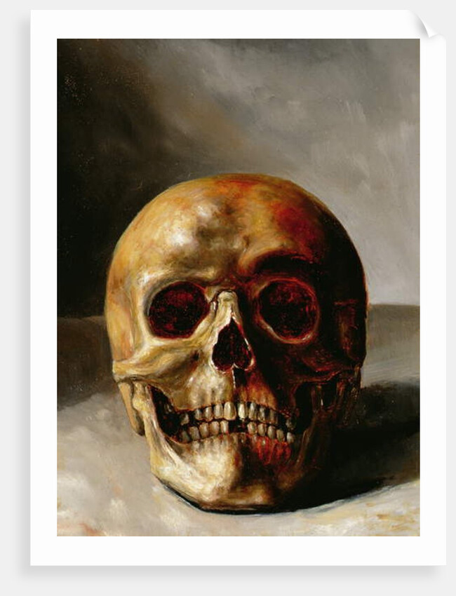 Skull by European School