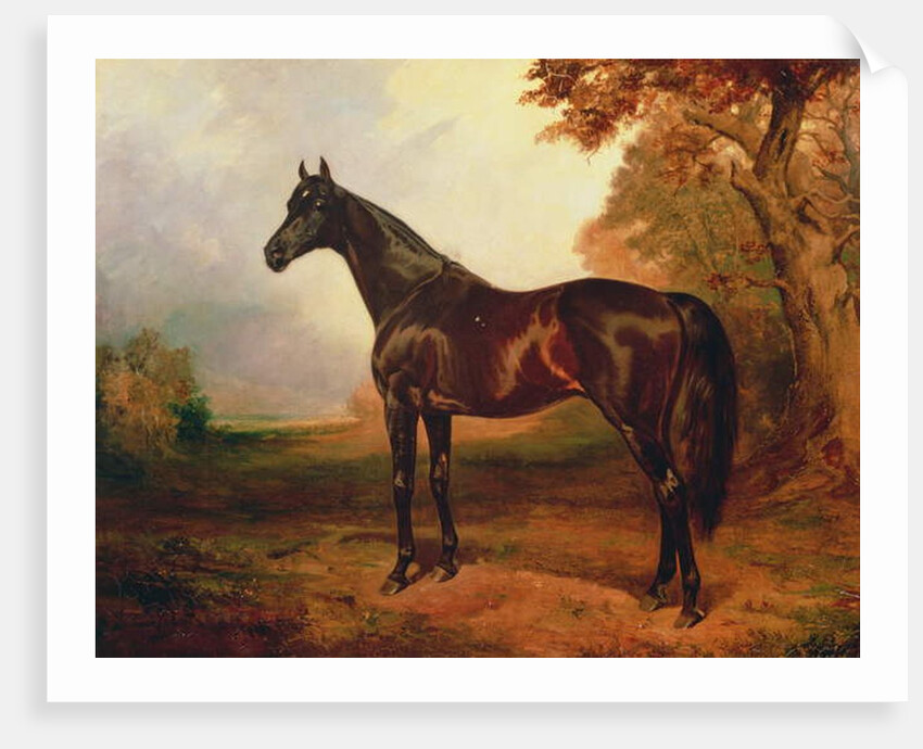 St. Simon, 1906 by James Lynwood Palmer