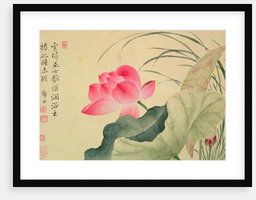 Lotus flower, by Yun Shou-P'ing by Shouping Yun