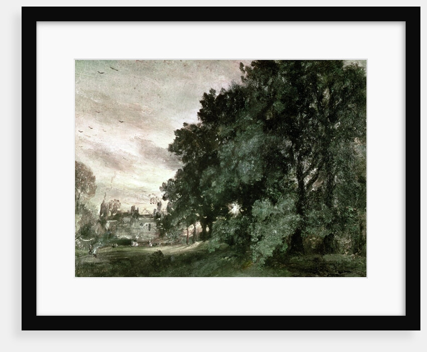 Study of Trees by John Constable