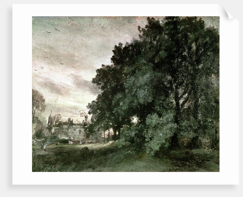 Study of Trees by John Constable