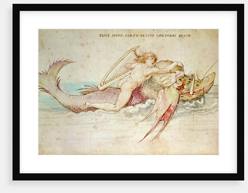 Arion, 1514 by Albrecht Dürer or Duerer