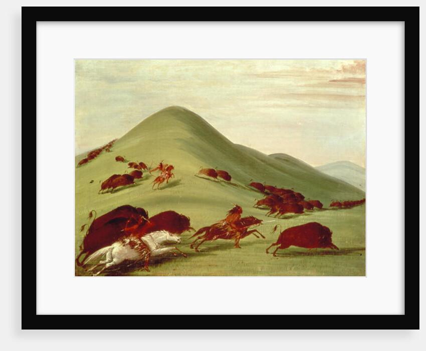 The Buffalo Hunt by George Catlin
