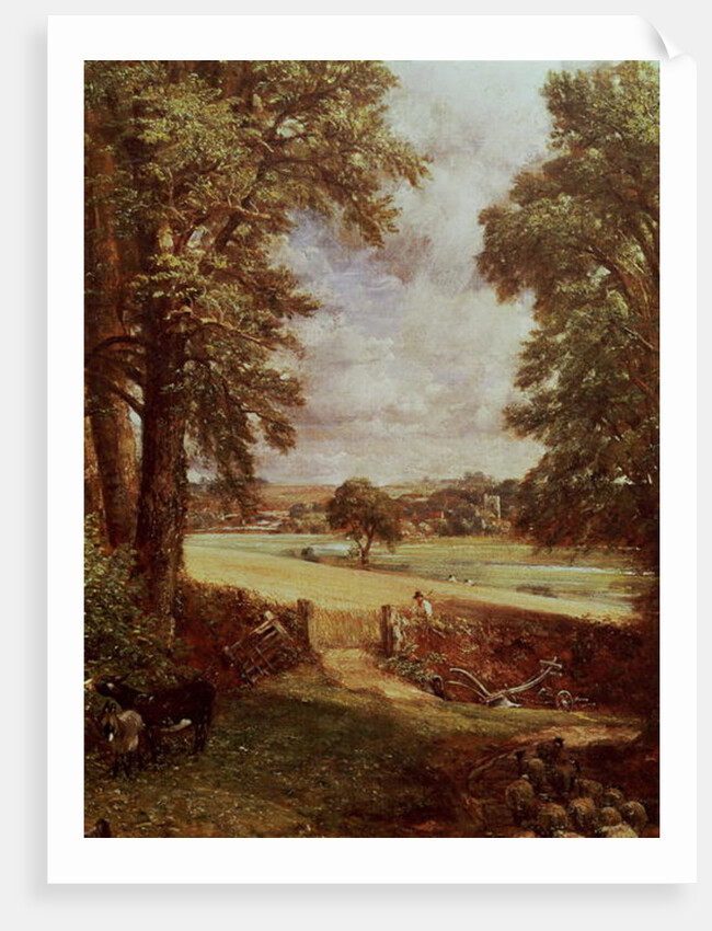 The Cornfield by John Constable