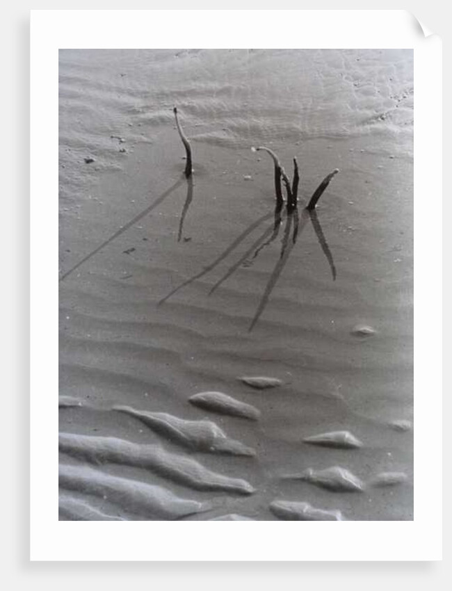 VINTAGE B&W PHOTO No.4, 1985 by Peter McClure