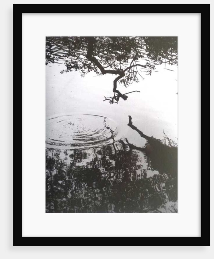 VINTAGE B&W PHOTO No.5, 1986 by Peter McClure