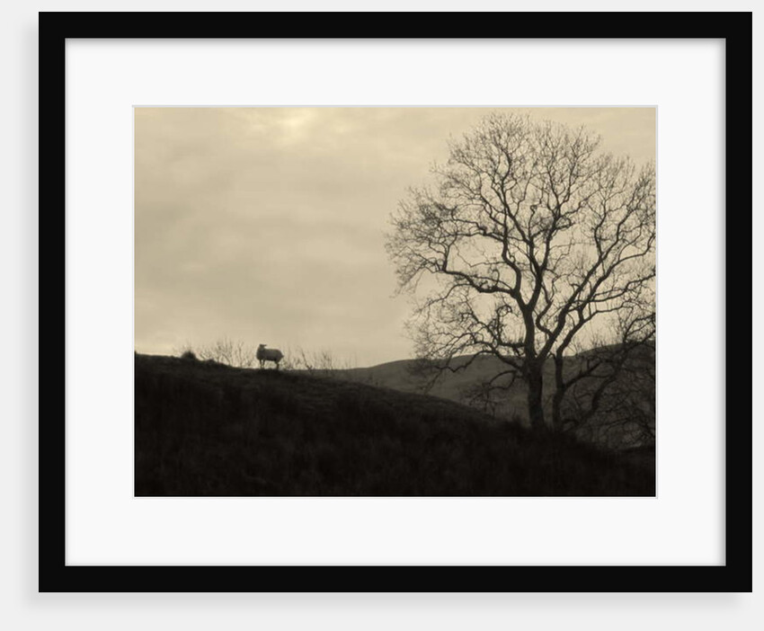 Kintyre... Plus. 9 by Peter McClure