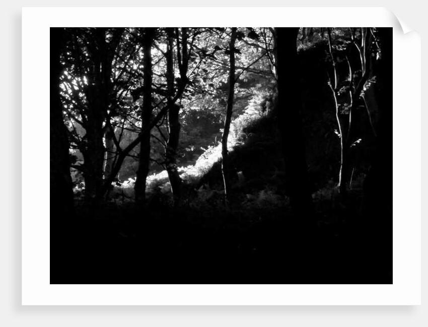 KINTYRE... PLUS. 17, 2017 by Peter McClure