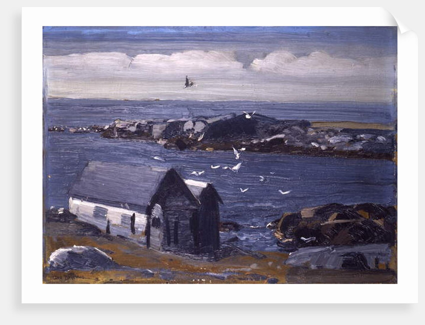 The Gulls, Monhegan, c.1913 by George Wesley Bellows