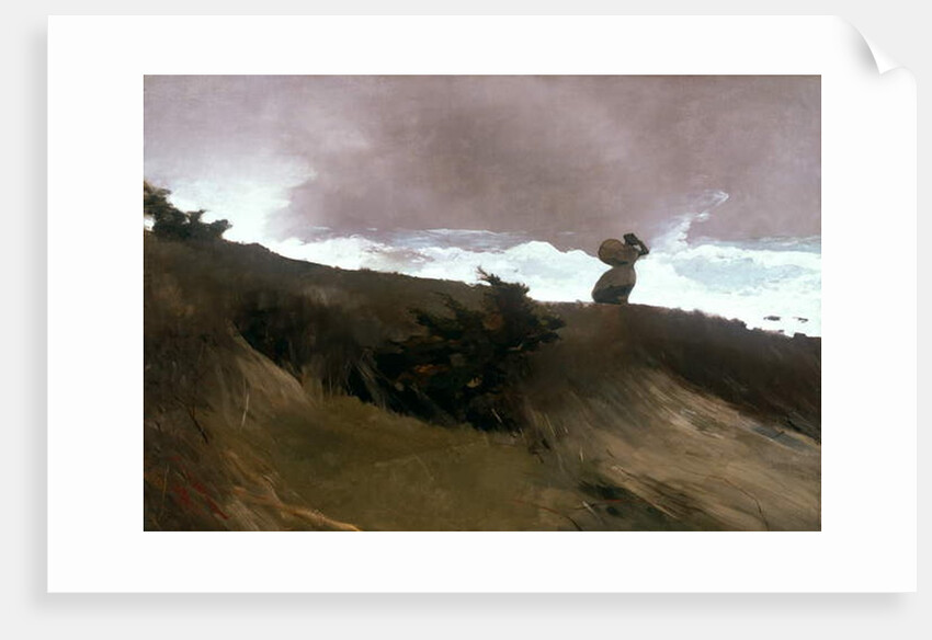 The West Wind, 1891 by Winslow Homer